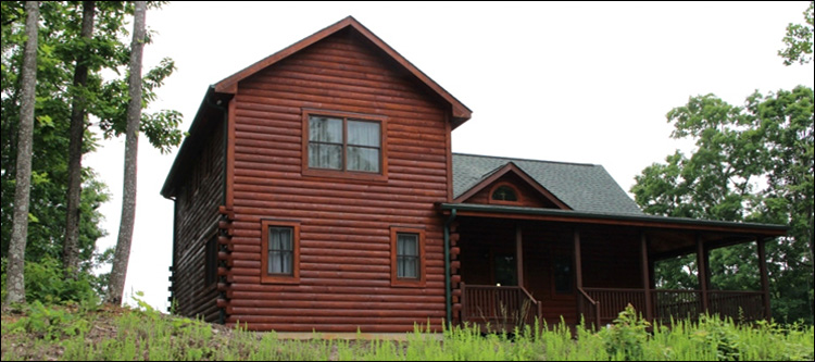 Professional Log Home Borate Application  Perquimans County,  North Carolina